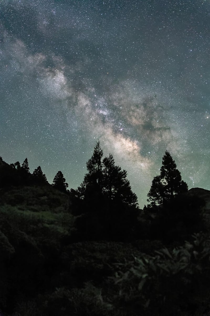 Milky Way Tuxedos